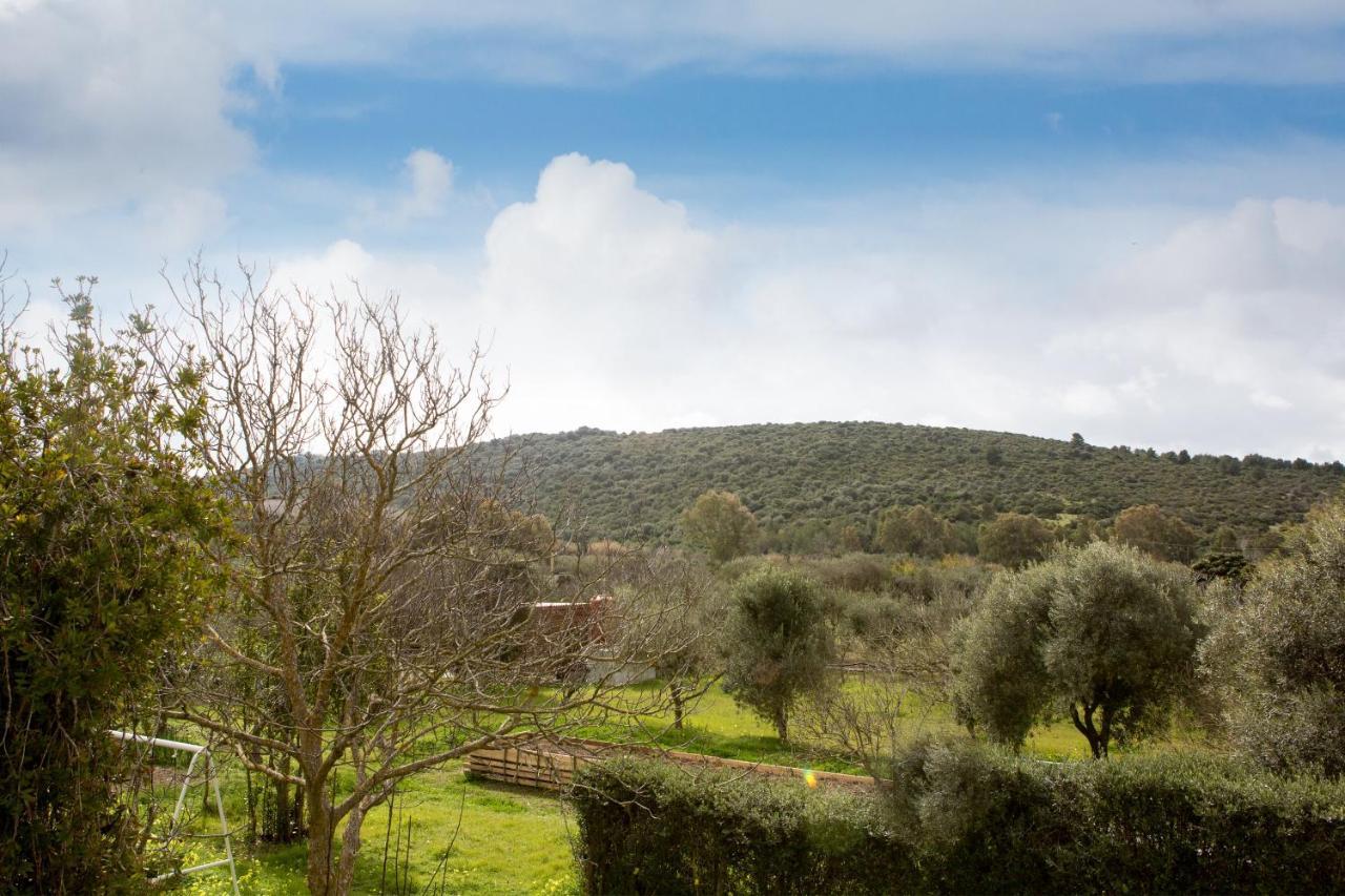 Alghero In Bicicletta Exteriér fotografie