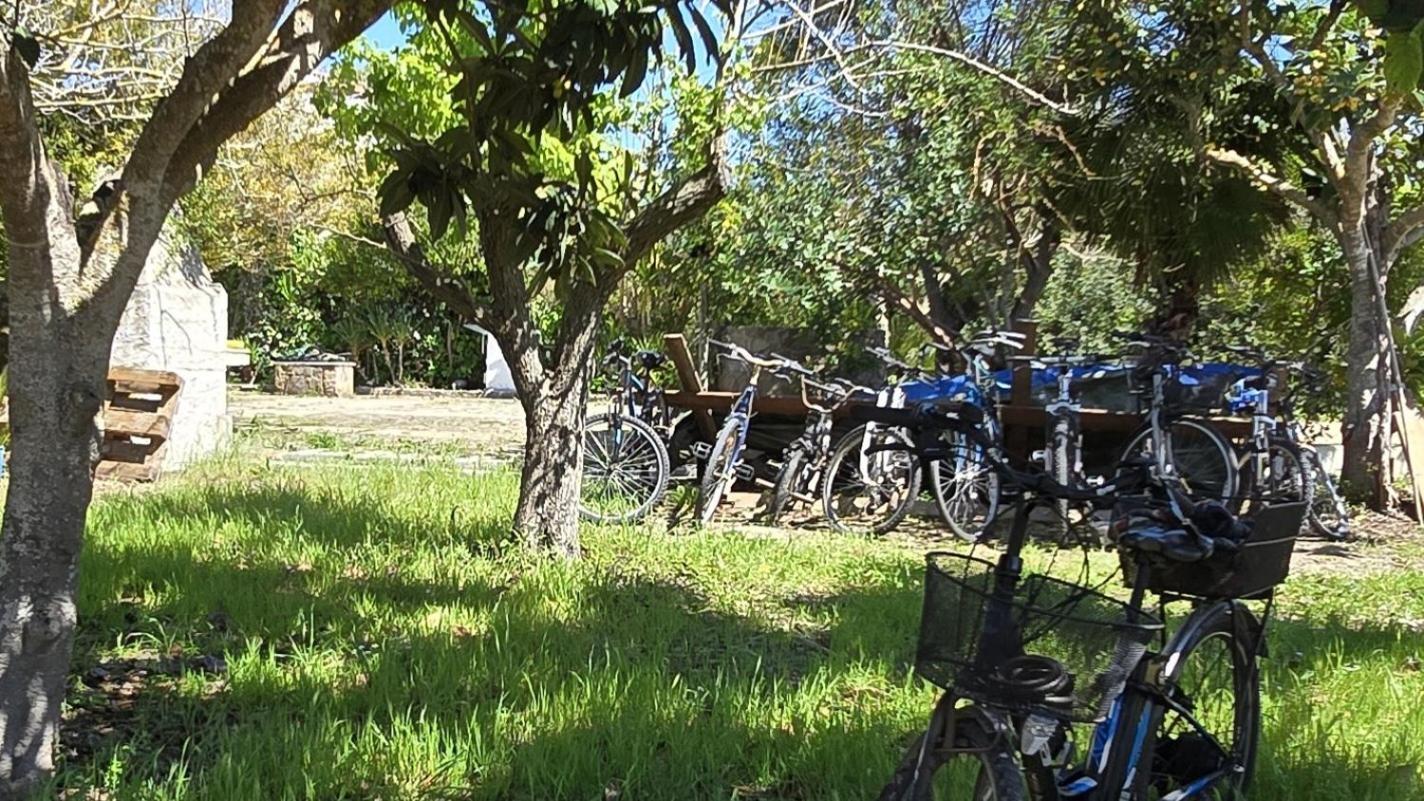 Alghero In Bicicletta Exteriér fotografie